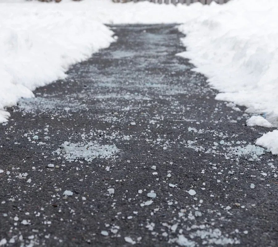 Snow Clearance pathways