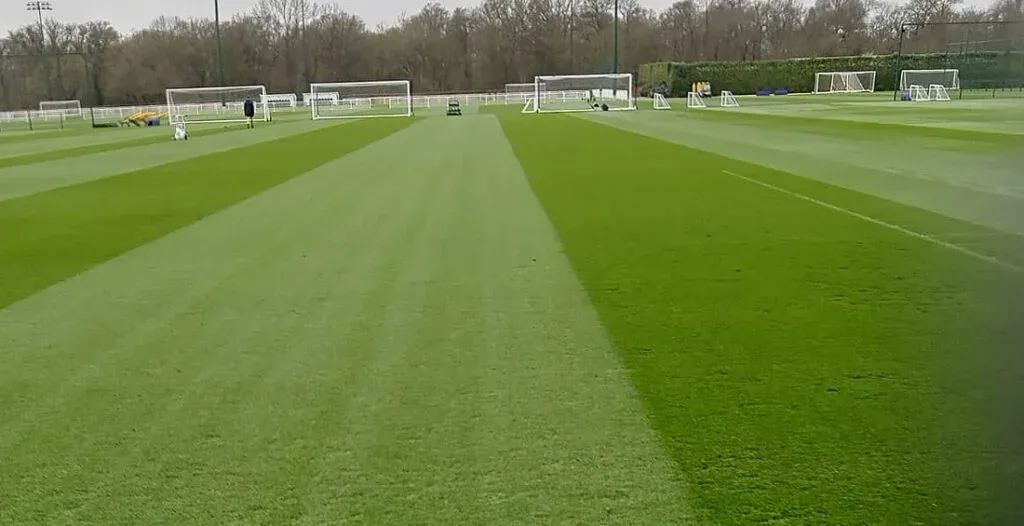 Tottenham Hotspur
