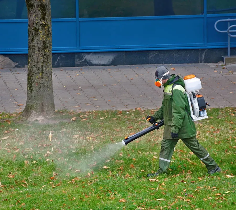 Weed spraying